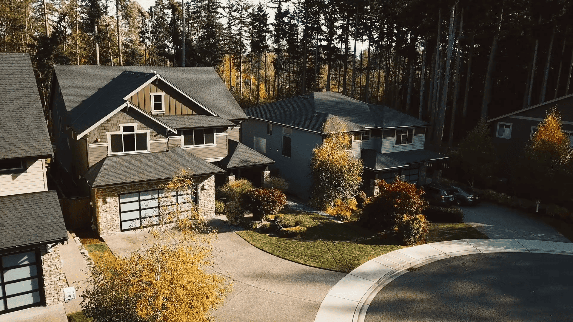 Roche Real Estate